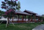 由“盆景”变“风景”，微改精提助力乐清大荆镇抒写美...