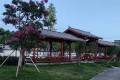 由“盆景”变“风景”，微改精提助力乐清大荆镇抒写美...