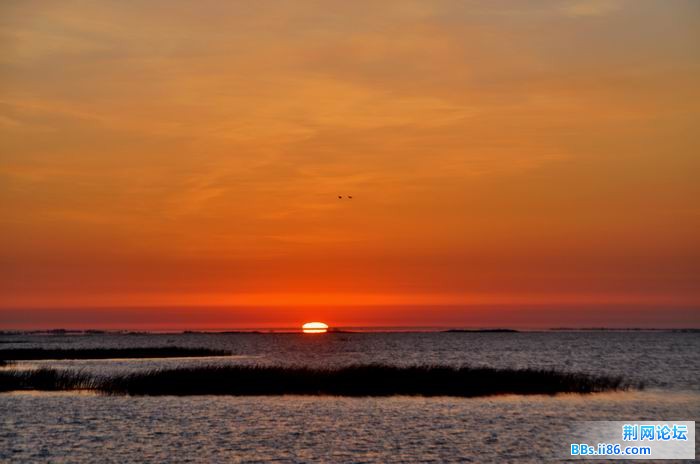 调整大小 尉犁胡杨 027f.jpg