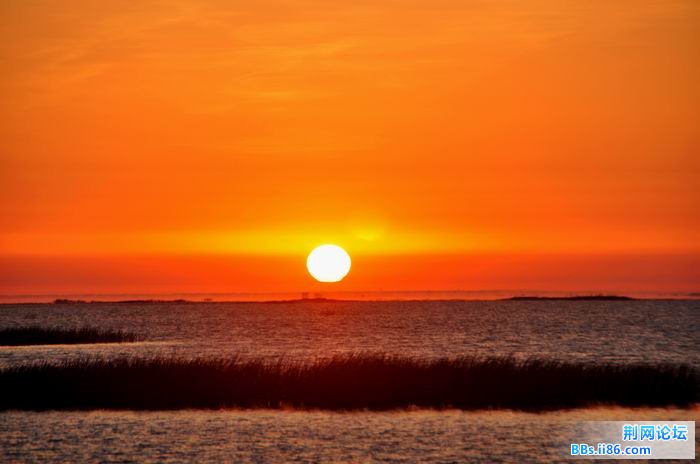 调整大小 尉犁胡杨 043f.jpg