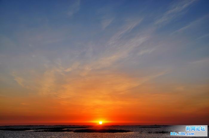 调整大小 尉犁胡杨 044f.jpg