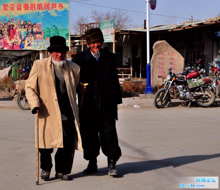 调整大小 尉犁胡杨 229f.jpg