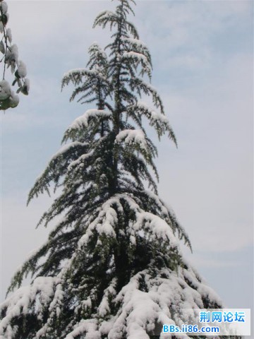 旋转 DSC06679 (小).JPG