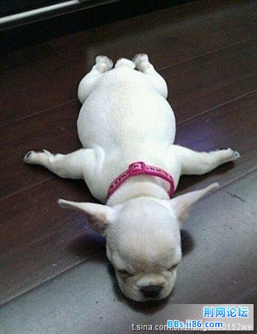 2_76928818_diary (小).jpg