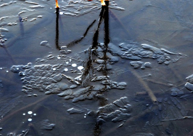 BI0E5859.JPG