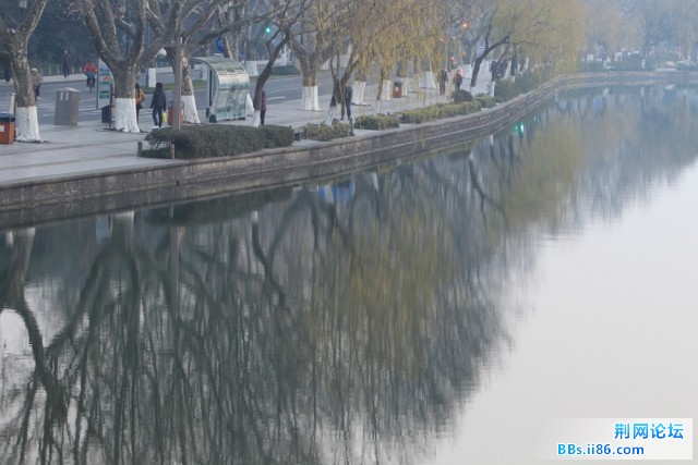西湖晨光曲BI0E5933.JPG