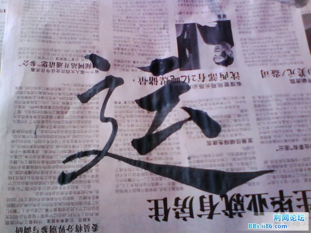 IMG0523A.jpg