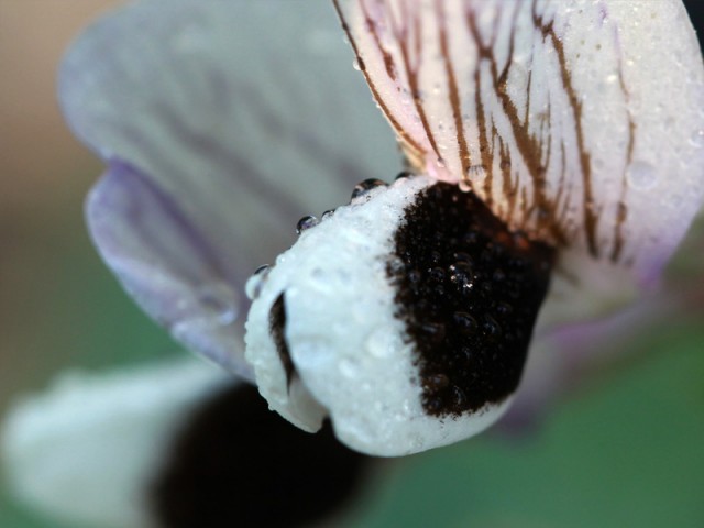 BI0E7690.JPG