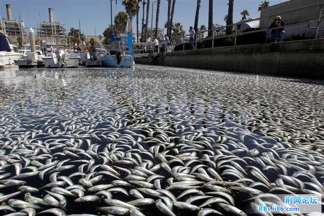 1702368_980x1200_0 (小).jpg