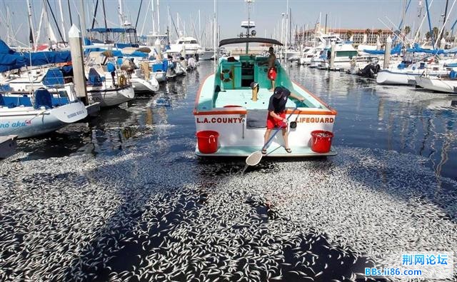 1702367_980x1200_0 (小).jpg