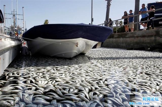 1702369_980x1200_0 (小).jpg