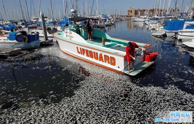 1702372_980x1200_0 (小).jpg