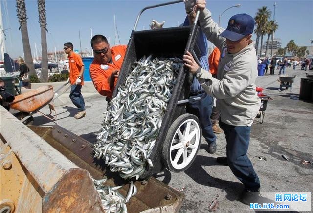 1702371_980x1200_0 (小).jpg