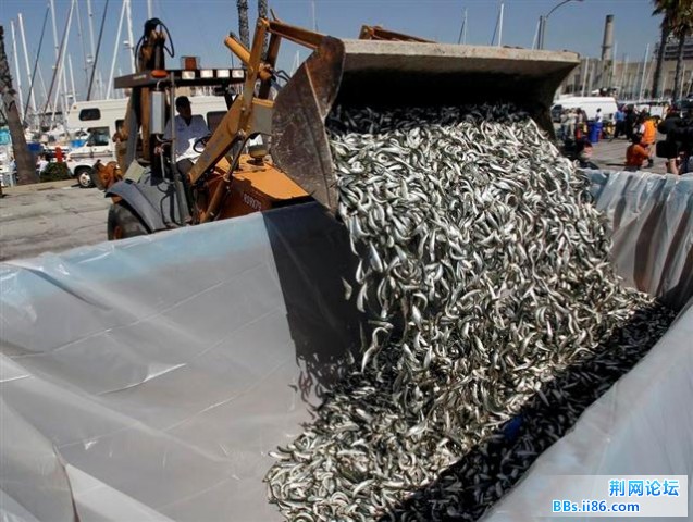 1702370_980x1200_0 (小).jpg