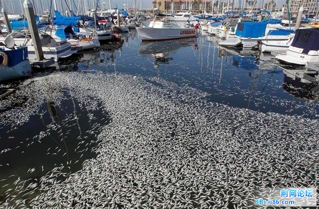 1702373_980x1200_0 (小).jpg