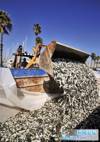 1702605_980x1200_0 (小).jpg