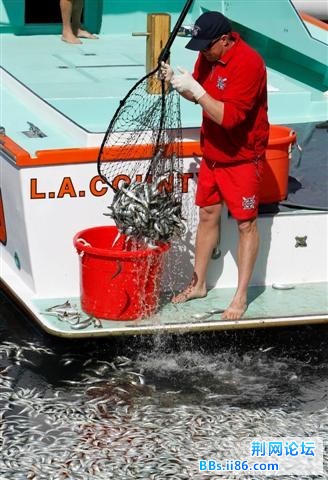 1702374_980x1200_0 (小).jpg