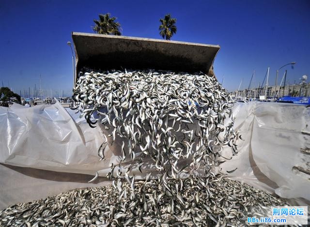 1702606_980x1200_0 (小).jpg