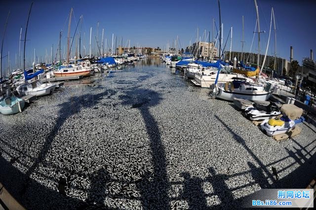 1702656_980x1200_0 (小).jpg