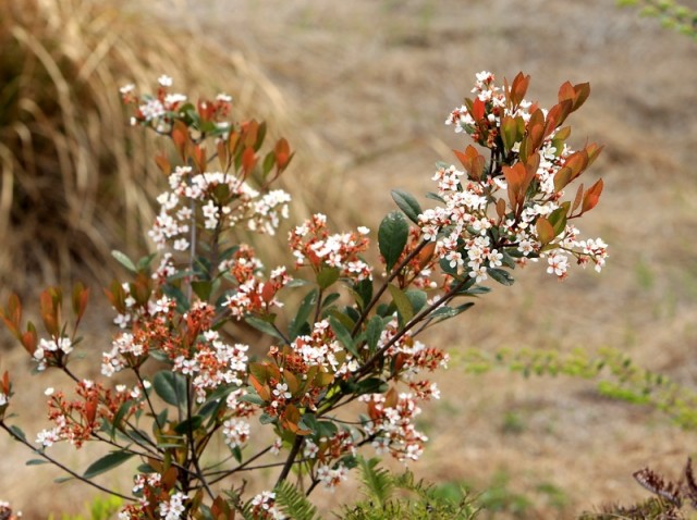 BI0E0068.JPG