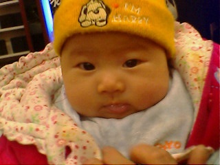 复件 IMG0355A_副本.jpg