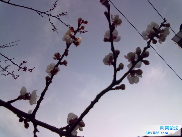 20110413048.jpg