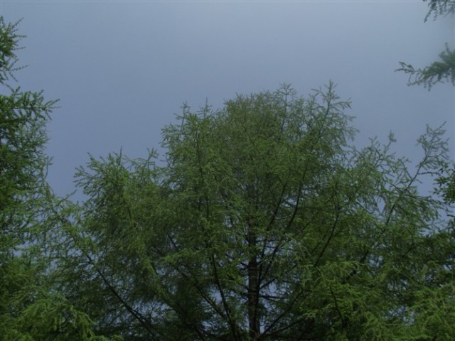 http_imgloadCABMUJE7.jpg