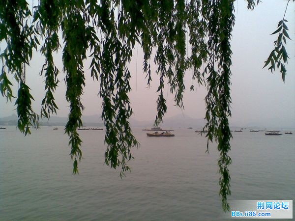 图像110.jpg