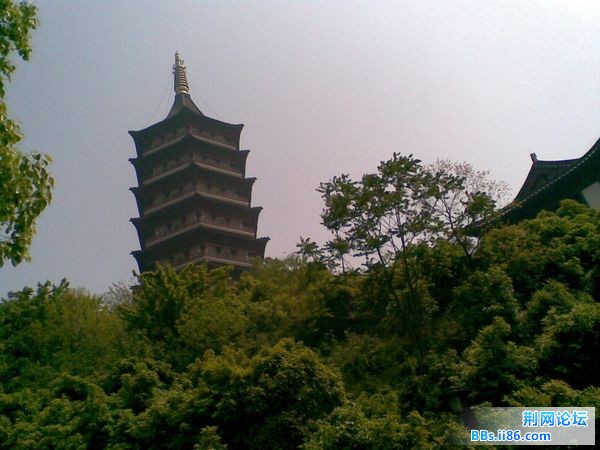 图像161.jpg