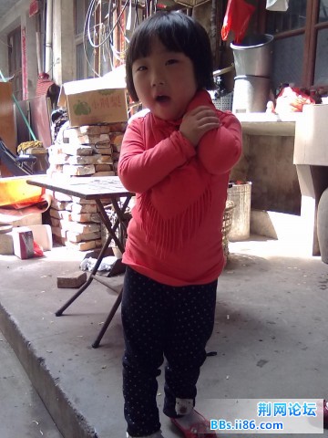 20110105860.jpg