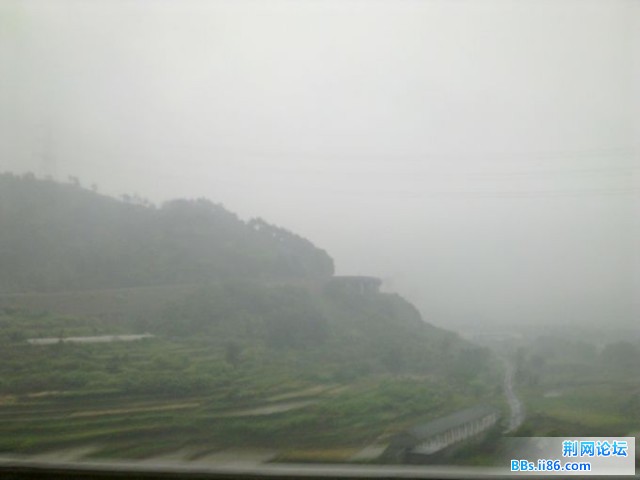 20110604207.jpg