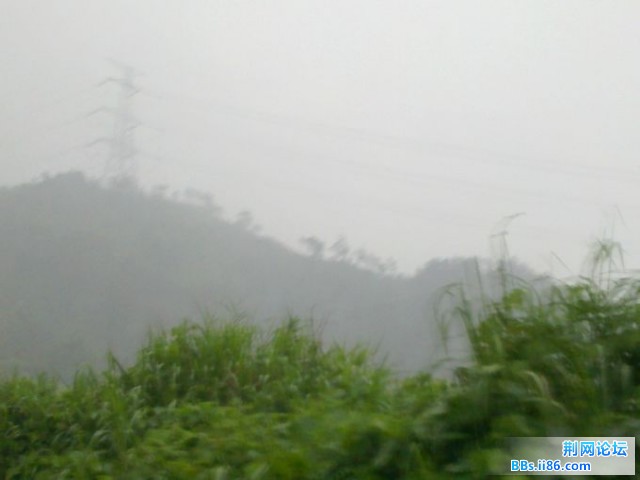 20110604209.jpg