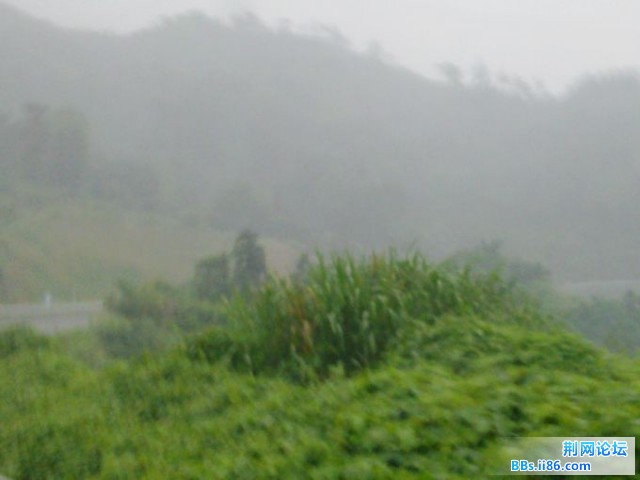 20110604210.jpg