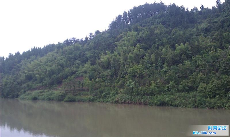 IMAG0369 (中等).jpg