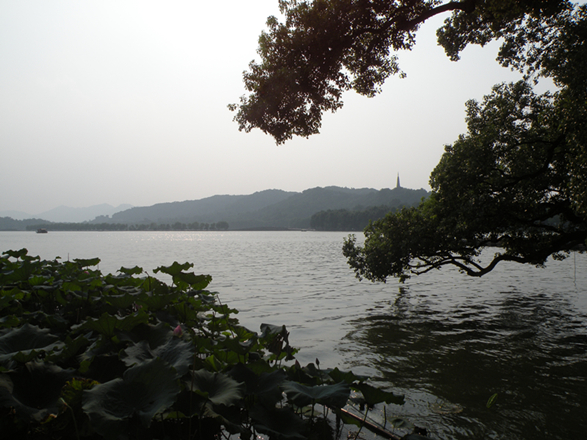 照片 174.jpg