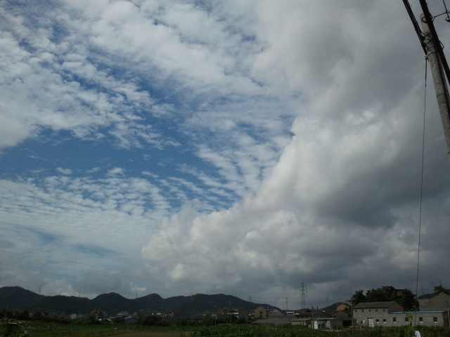 2011-06-23 09.02.12.jpg