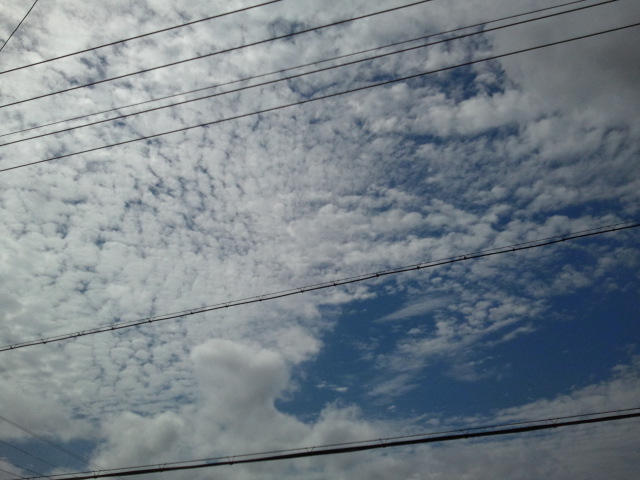 2011-06-23 09.06.03.jpg