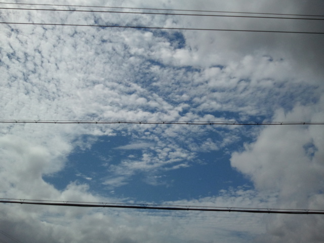 2011-06-23 09.06.18.jpg