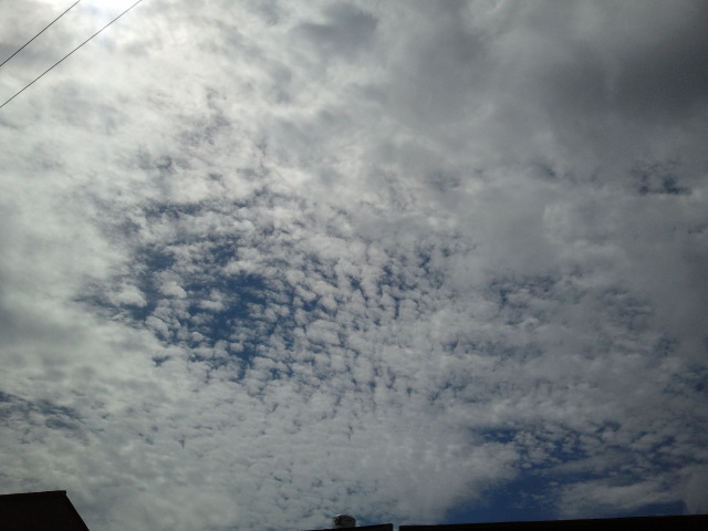 2011-06-23 09.09.44.jpg