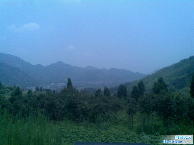 20110721.jpg