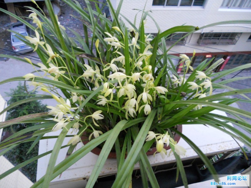 DSCN1124.JPG