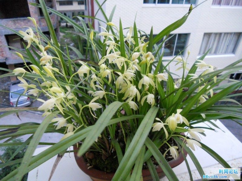 DSCN1125.JPG