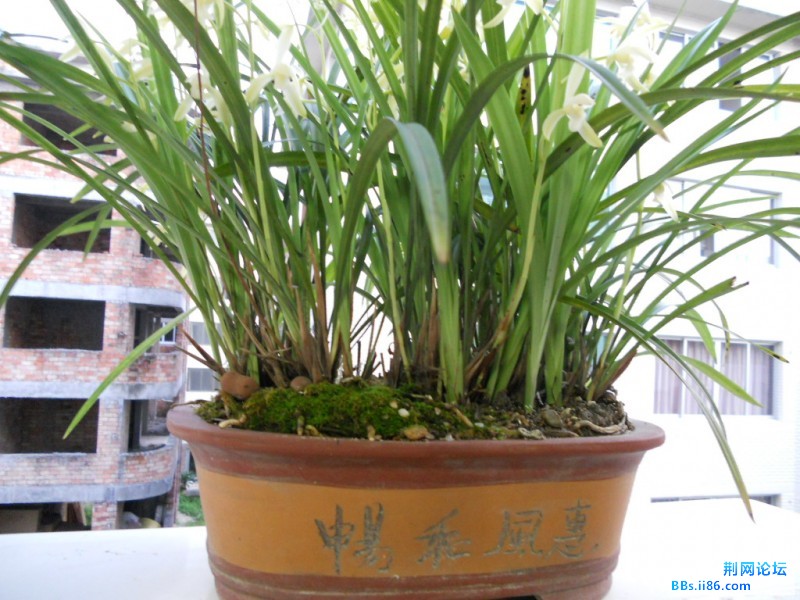 DSCN1126.JPG