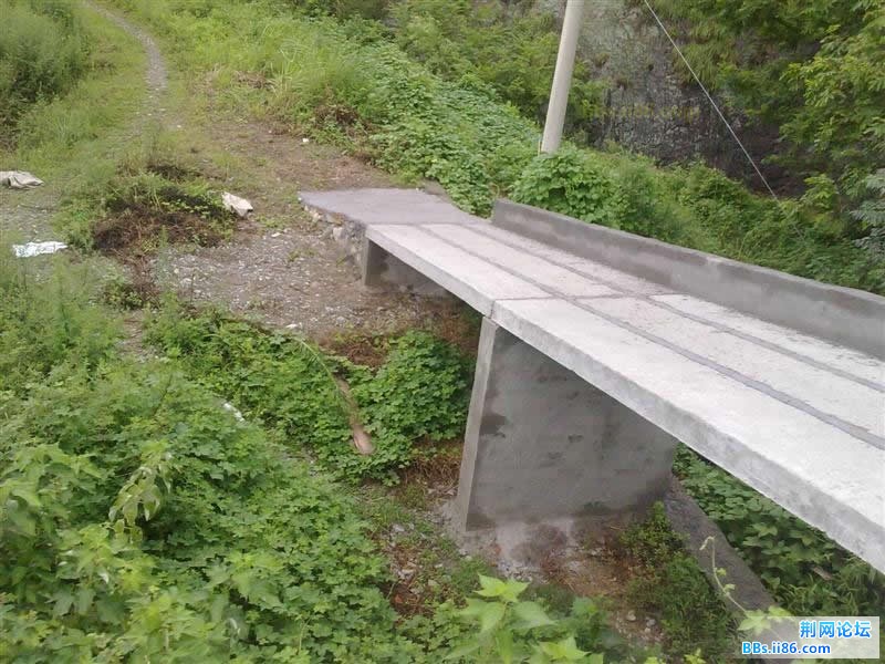 20110825366.JPG