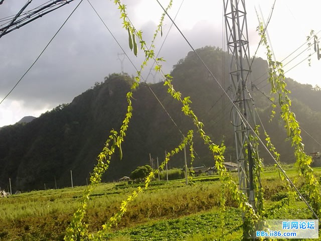 20110828374.jpg