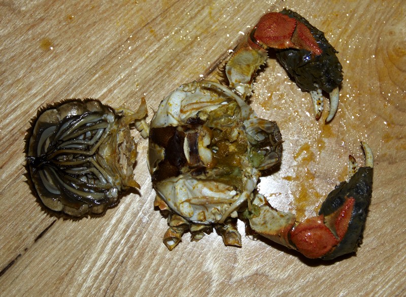 IMG_6572_1 副本.jpg