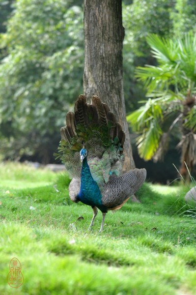 DSC_4144.jpg