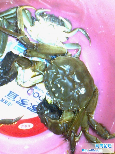 照片0126.jpg