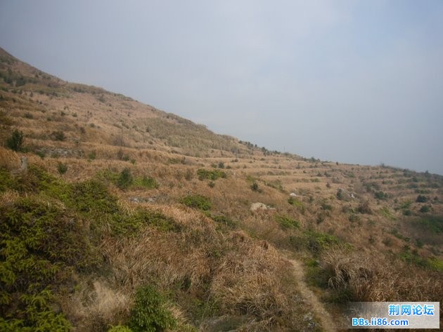 P1100401.JPG P1100401.JPG