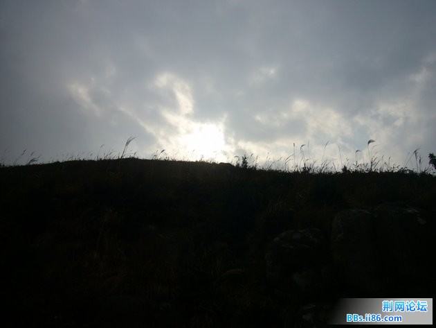 P1100413.JPG P1100413.JPG